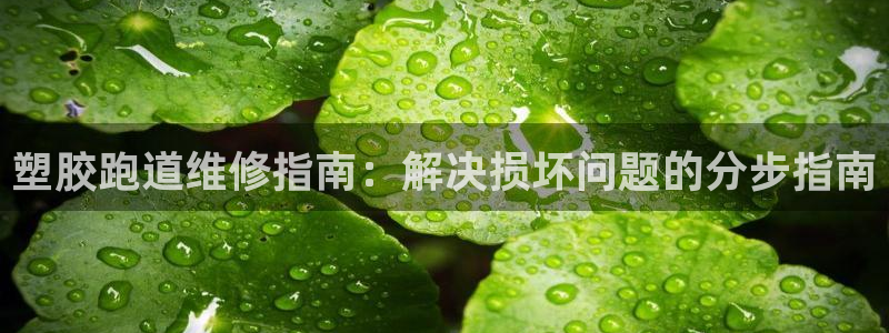 谈球吧官网在线入口手机版免费：塑胶跑道维修指南：解决损坏问题的分步指南