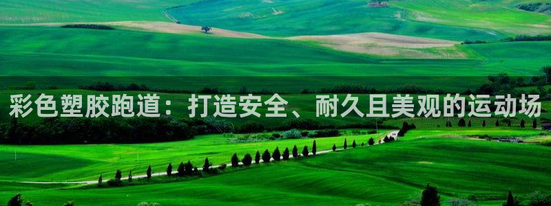 谈球吧app官方下载：彩色塑胶跑道：打造安全、耐久且美观的运动场