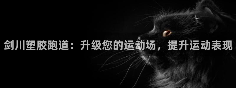 谈球吧体育app下载官网手机版苹果：剑川塑胶跑道：升级您的运动场，提升运动表现