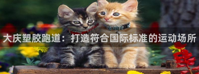 谈球吧账号有人收吗：大庆塑胶跑道：打造符合国际标准的运动场所