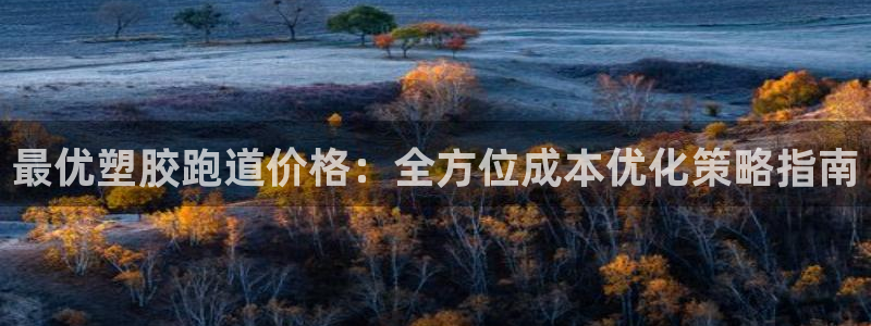 谈球吧体育app下载中心：最优塑胶跑道价格：全方位成本优化策略指南