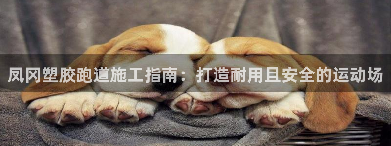 谈球吧官网在线入口免费观看视频：凤冈塑胶跑道施工指南