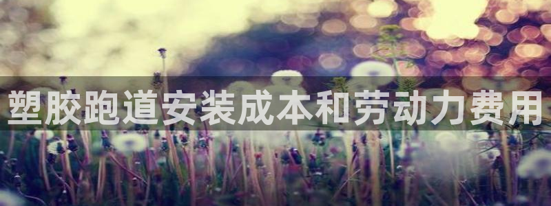 谈球吧是黑台子吗：塑胶跑道安装成本和劳动力费用