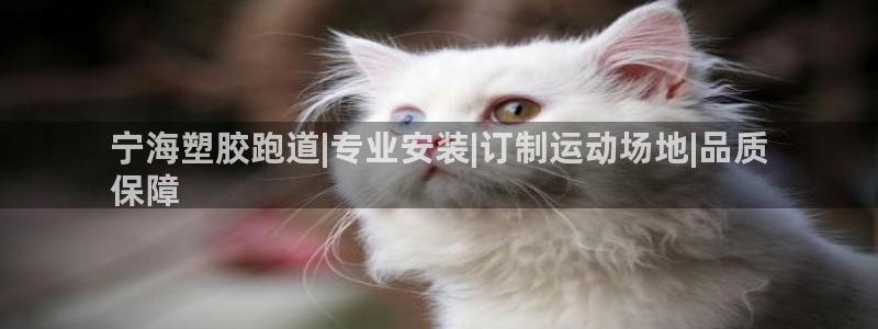 谈球吧平台正规吗可信吗：宁海塑胶跑道|专业安装|订制运动场地|品质
保障