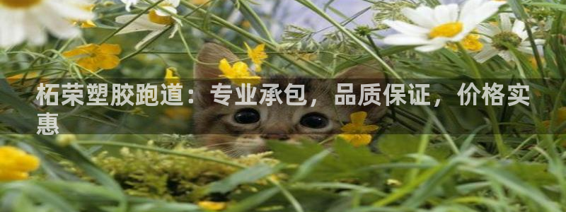 谈球吧体育app下载中心官网苹果：柘荣塑胶跑道：专业承包，品质保证，价格实
惠