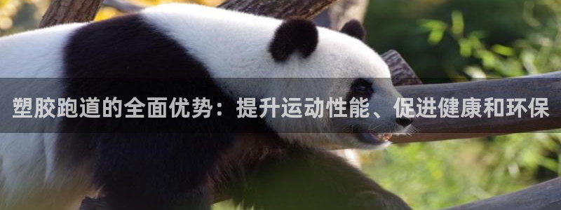 谈球吧体育app下载足球比赛视频