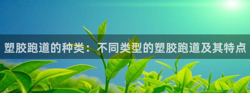 谈球吧在线：塑胶跑道的种类：不同类型的塑胶跑道及其特点