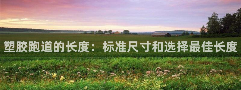 谈球吧的聊天软件有哪些：塑胶跑道的长度：标准尺寸和选择最佳长度