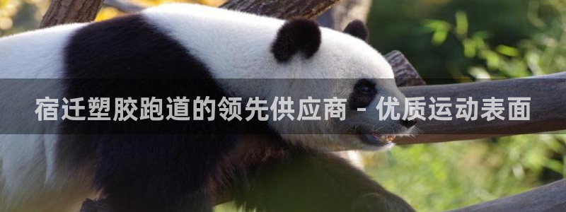 谈球吧咋样：宿迁塑胶跑道的领先供应商 - 优质运动表面