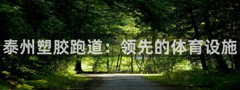 谈球吧体育综合台：泰州塑胶跑道：领先的体育设施