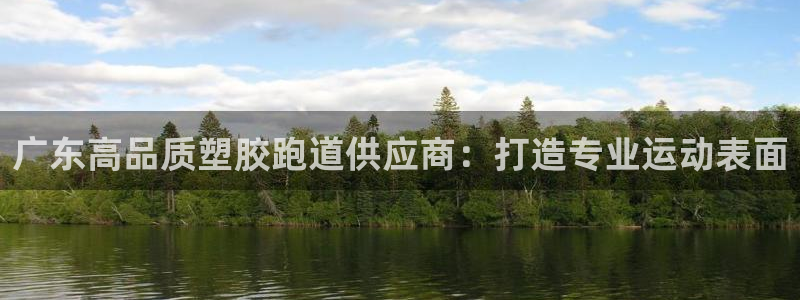 谈球吧登录网：广东高品质塑胶跑道供应商：打造专业运动表面