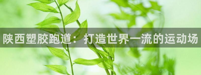 谈球吧怎么样?：陕西塑胶跑道：打造世界一流的运动场