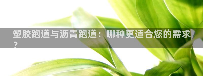 谈球吧-体育赛事：塑胶跑道与沥青跑道：哪种更适合您的需求
？