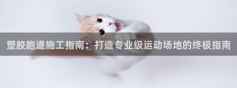 谈球吧在线观看：塑胶跑道施工指南：打造专业级运动场地的终极指南