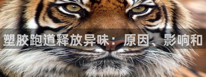 谈球吧在线登陆：塑胶跑道释放异味：原因、影响和