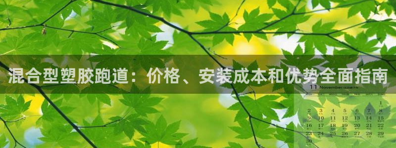 谈球吧是黑台子吗还是白台子：混合型塑胶跑道：价格、安装成本和优势全面指南