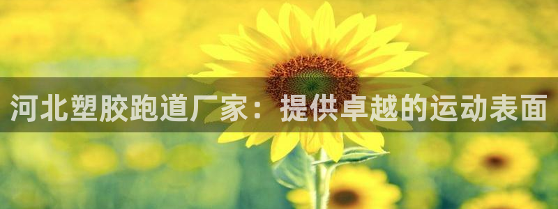 谈球吧体育官方入口：河北塑胶跑道厂家：提供卓越的运动