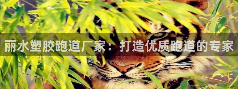 谈球吧体育app下载官网安卓