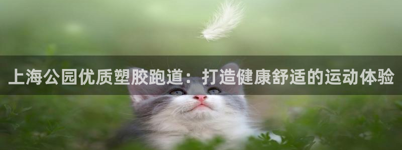 谈球吧出款怎样?：上海公园优质塑胶跑道：打造健康舒适的运动体验