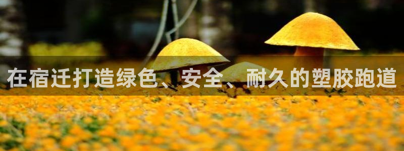 谈球吧体育官方入口：在宿迁打造绿色、安全、耐久的塑胶跑道