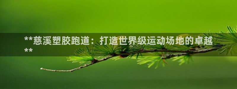 谈球吧官网在线入口免费观看高清版：**慈溪塑胶跑道：打造世界级运动场地的卓越
**