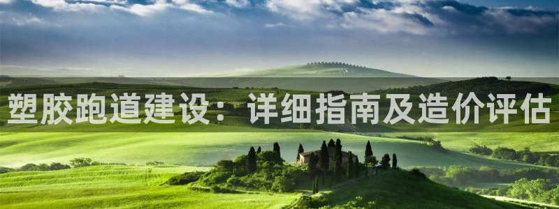 谈球吧官网在线入口：塑胶跑道建设：详细指南及造价评估