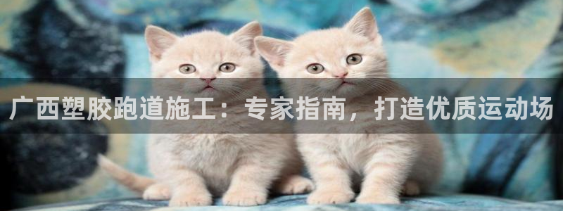 谈球吧被黑不给提现：广西塑胶跑道施工：专家指南，打造优质运动场