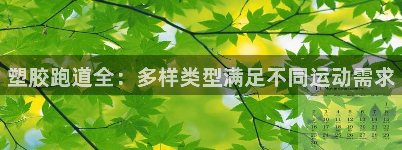 谈球吧体育app下载中心：塑胶跑道全：多样类型满足不同运动需求