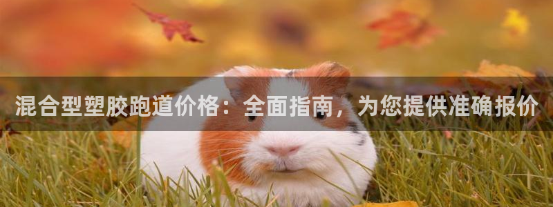 谈球吧在线登录免费观看：混合型塑胶跑道价格：全面指南，为您提供准确报价