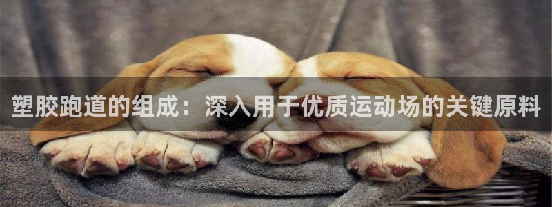 谈球吧网页版在线入口：塑胶跑道的组成：深入用于优质运