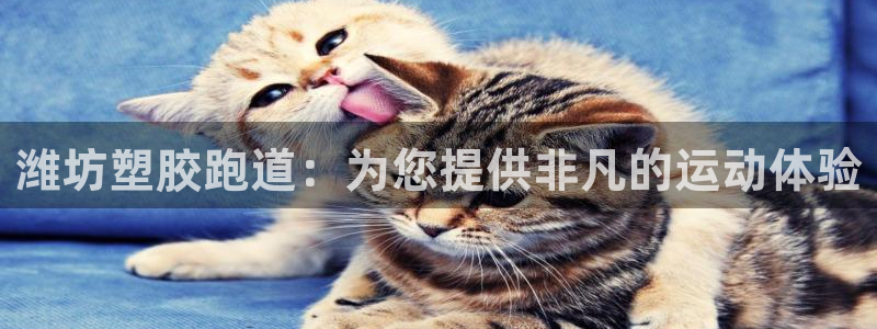 谈球吧APP入口：潍坊塑胶跑道：为您提供非凡的运动体验