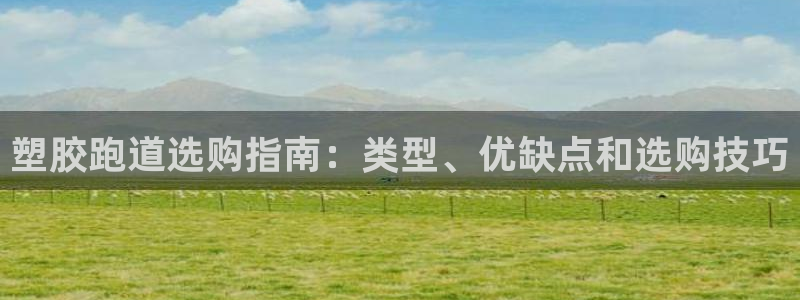 谈球吧平台app下载网址是什么：塑胶跑道选购指南：类