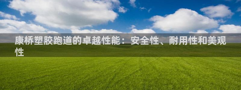 谈球吧的聊天软件叫什么来着