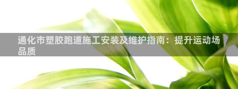 谈球吧电子app：通化市塑胶跑道施工安装及维护指南：提升运动场
品质