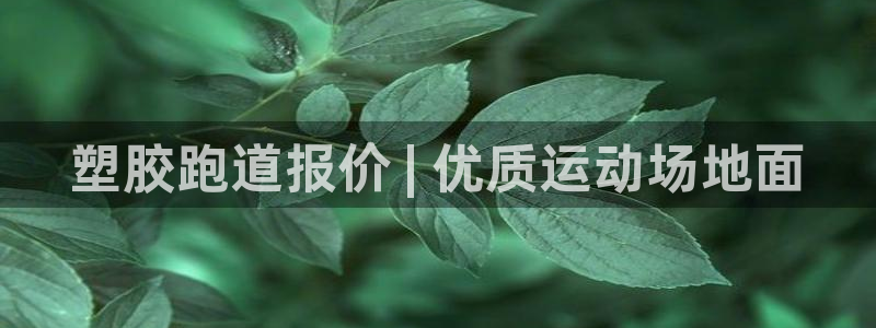 谈球吧体育app下载中心在哪：塑胶跑道报价 | 优质运动场地面