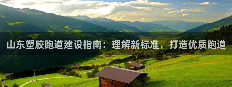 谈球吧是黑台子吗：山东塑胶跑道建设指南：理解新标准，打造优质跑道