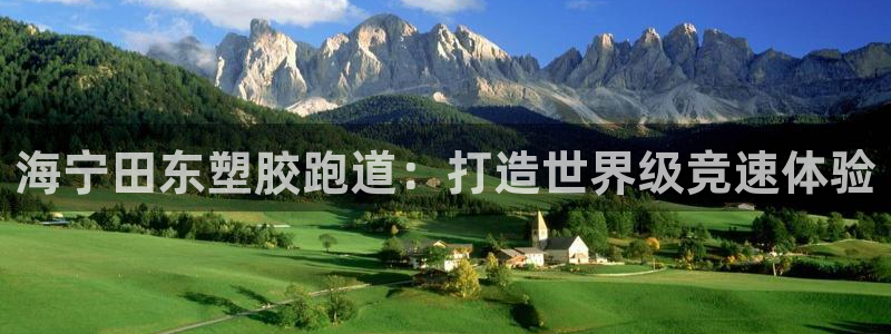 谈球吧在线：海宁田东塑胶跑道：打造世界级竞速体验
