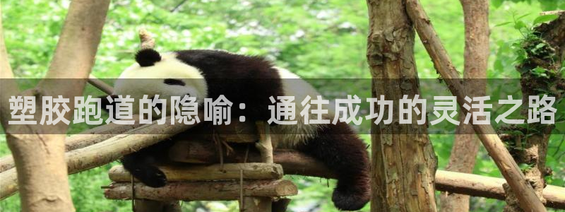 谈球吧官网在线入口手机版下载：塑胶跑道的隐喻：通往成