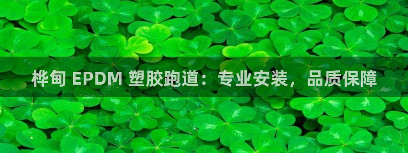 谈球吧在线登陆：桦甸 EPDM 塑胶跑道：专业安装，品质保障