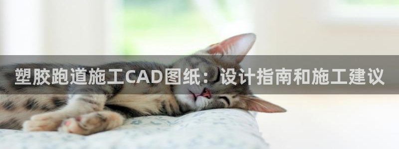 谈球吧体育官方入口：塑胶跑道施工CAD图纸：设计指南