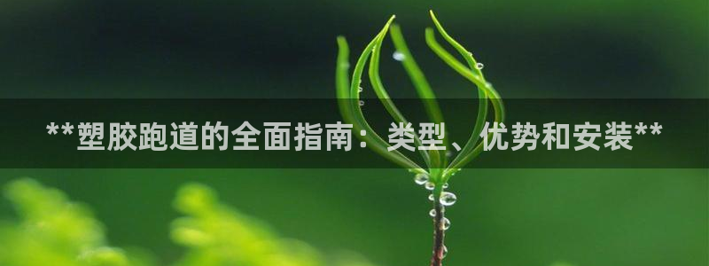 谈球吧体育app官网下载：**塑胶跑道的全面指南：类