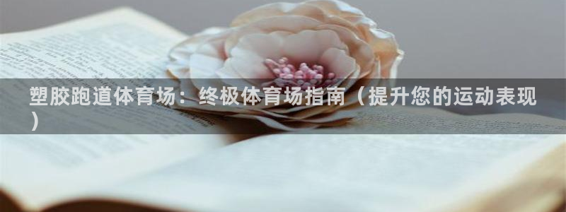 谈球吧中国官方网站