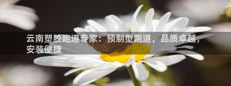 谈球吧登录：云南塑胶跑道专家：预制型跑道，品质卓越，
安装便捷