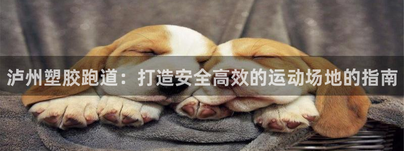 谈球吧体育ios下载