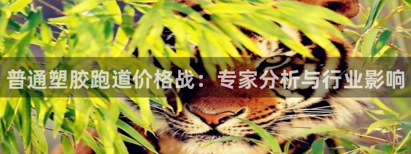 谈球吧app赛事分析报告怎么做：普通塑胶跑道价格战：专家分析与行业影响