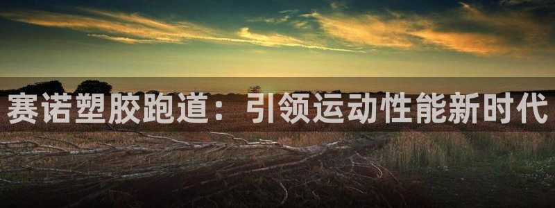 谈球吧平台正规吗可靠吗知乎：赛诺塑胶跑道：引领运动性能新时代