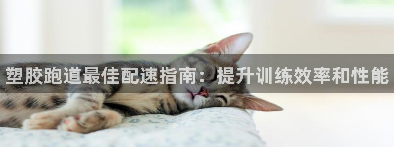 谈球吧能提现不：塑胶跑道最佳配速指南：提升训练效率和