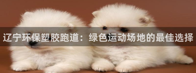 谈球吧怎么样：辽宁环保塑胶跑道：绿色运动场地的最佳选择