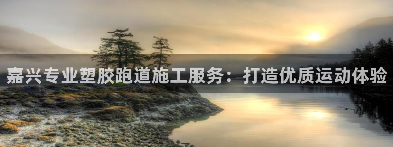 谈球吧怎么样?：嘉兴专业塑胶跑道施工服务：打造优质运动体验
