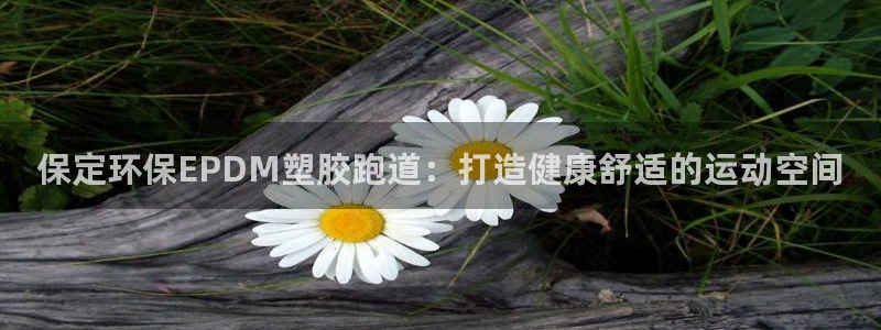 谈球吧娱乐app下载官网苹果手机：保定环保EPDM塑胶跑道：打造健康舒适的运动空间